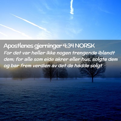 Picture 02 - Apostlenes gjerninger 4:34 NORSK - For det var heller ikke nogen trengende iblandt - Bible Verse Picture