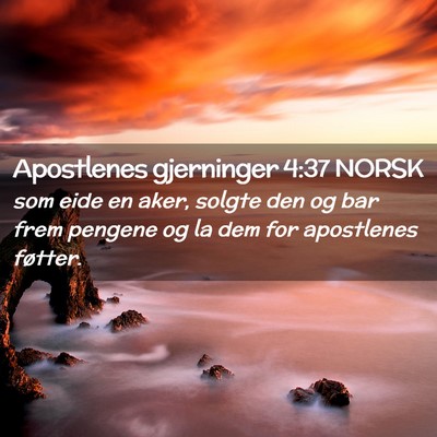 Picture 02 - Apostlenes gjerninger 4:37 NORSK - som eide en aker, solgte den og bar frem pengene - Bible Verse Picture