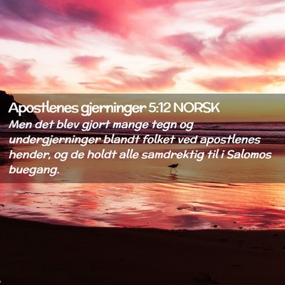 Picture 02 - Apostlenes gjerninger 5:12 NORSK - Men det blev gjort mange tegn og undergjerninger - Bible Verse Picture
