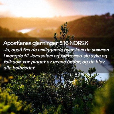 Picture 02 - Apostlenes gjerninger 5:16 NORSK - Ja, også fra de omliggende byer kom de sammen i - Bible Verse Picture