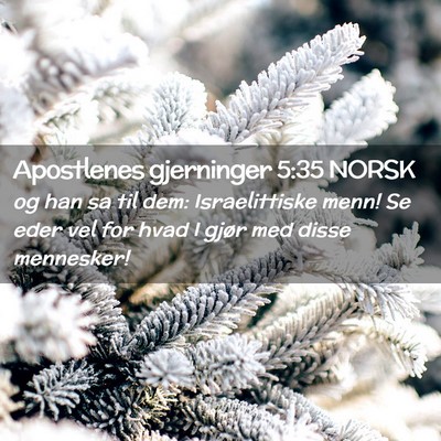Picture 02 - Apostlenes gjerninger 5:35 NORSK - og han sa til dem: Israelittiske menn! Se eder - Bible Verse Picture