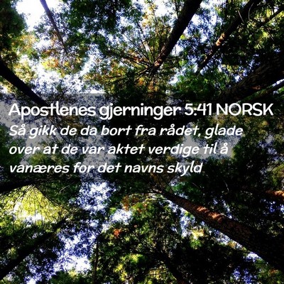 Picture 02 - Apostlenes gjerninger 5:41 NORSK - Så gikk de da bort fra rådet, glade over at de - Bible Verse Picture