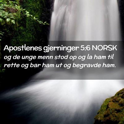 Picture 02 - Apostlenes gjerninger 5:6 NORSK - og de unge menn stod op og la ham til rette og - Bible Verse Picture