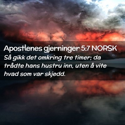 Picture 02 - Apostlenes gjerninger 5:7 NORSK - Så gikk det omkring tre timer; da trådte hans - Bible Verse Picture