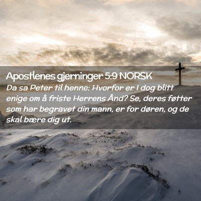 Picture 02 - Apostlenes gjerninger 5:9 NORSK - Da sa Peter til henne: Hvorfor er I dog blitt - Bible Verse Picture