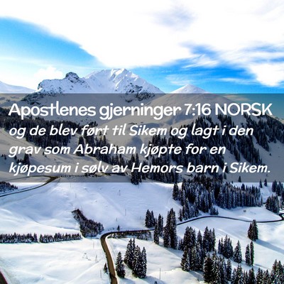 Picture 02 - Apostlenes gjerninger 7:16 NORSK - og de blev ført til Sikem og lagt i den grav som - Bible Verse Picture