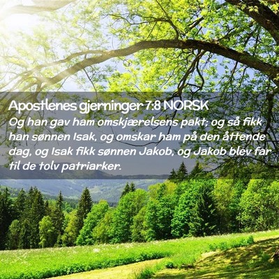 Picture 02 - Apostlenes gjerninger 7:8 NORSK - Og han gav ham omskjærelsens pakt; og så fikk - Bible Verse Picture