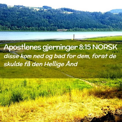 Picture 02 - Apostlenes gjerninger 8:15 NORSK - disse kom ned og bad for dem, forat de skulde få - Bible Verse Picture