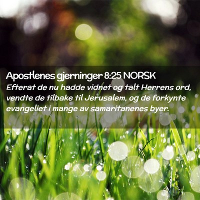Picture 02 - Apostlenes gjerninger 8:25 NORSK - Efterat de nu hadde vidnet og talt Herrens ord, - Bible Verse Picture
