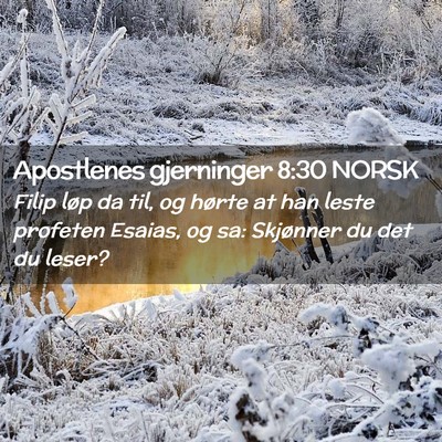 Picture 02 - Apostlenes gjerninger 8:30 NORSK - Filip løp da til, og hørte at han leste - Bible Verse Picture