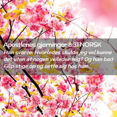 Picture 02 - Apostlenes gjerninger 8:31 NORSK - Han svarte: Hvorledes skulde jeg vel kunne det - Bible Verse Picture