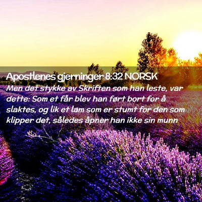 Picture 02 - Apostlenes gjerninger 8:32 NORSK - Men det stykke av Skriften som han leste, var - Bible Verse Picture