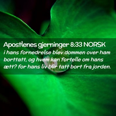 Picture 02 - Apostlenes gjerninger 8:33 NORSK - i hans fornedrelse blev dommen over ham borttatt, - Bible Verse Picture