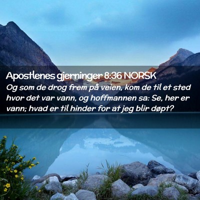 Picture 02 - Apostlenes gjerninger 8:36 NORSK - Og som de drog frem på veien, kom de til et sted - Bible Verse Picture