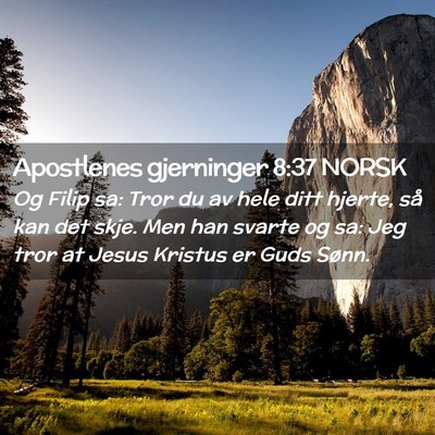 Picture 02 - Apostlenes gjerninger 8:37 NORSK - Og Filip sa: Tror du av hele ditt hjerte, så kan - Bible Verse Picture