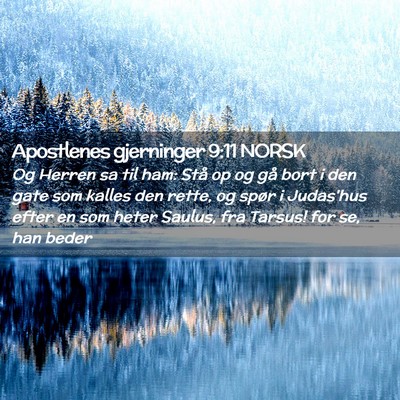 Picture 02 - Apostlenes gjerninger 9:11 NORSK - Og Herren sa til ham: Stå op og gå bort i den - Bible Verse Picture