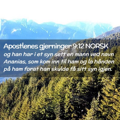 Picture 02 - Apostlenes gjerninger 9:12 NORSK - og han har i et syn sett en mann ved navn - Bible Verse Picture