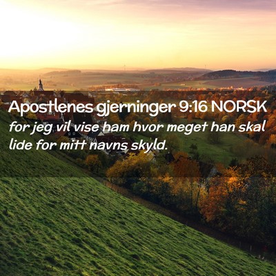 Picture 02 - Apostlenes gjerninger 9:16 NORSK - for jeg vil vise ham hvor meget han skal lide for - Bible Verse Picture
