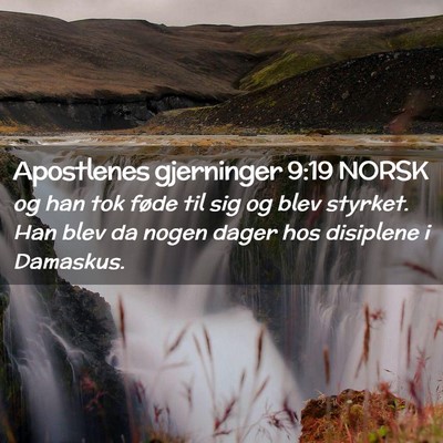 Picture 02 - Apostlenes gjerninger 9:19 NORSK - og han tok føde til sig og blev styrket. Han - Bible Verse Picture