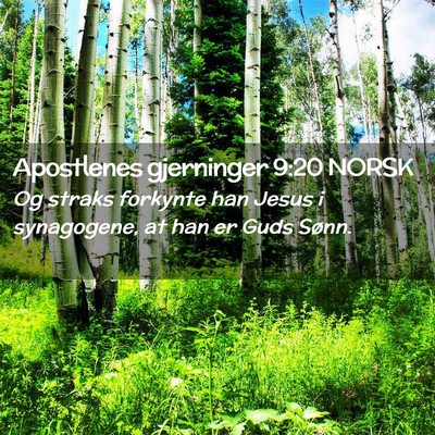 Picture 02 - Apostlenes gjerninger 9:20 NORSK - Og straks forkynte han Jesus i synagogene, at han - Bible Verse Picture
