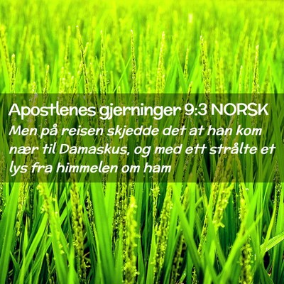 Picture 02 - Apostlenes gjerninger 9:3 NORSK - Men på reisen skjedde det at han kom nær til - Bible Verse Picture