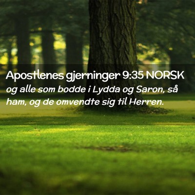 Picture 02 - Apostlenes gjerninger 9:35 NORSK - og alle som bodde i Lydda og Saron, så ham, og - Bible Verse Picture