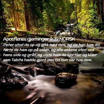Picture 02 - Apostlenes gjerninger 9:39 NORSK - Peter stod da op og gikk med dem, og da han kom - Bible Verse Picture