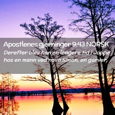 Picture 02 - Apostlenes gjerninger 9:43 NORSK - Derefter blev han en lengere tid i Joppe hos en - Bible Verse Picture