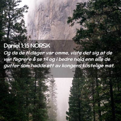 Picture 02 - Daniel 1:15 NORSK - Og da de ti dager var omme, viste det sig at de - Bible Verse Picture