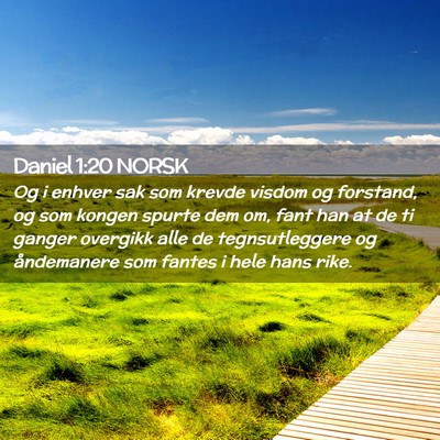 Picture 02 - Daniel 1:20 NORSK - Og i enhver sak som krevde visdom og forstand, og - Bible Verse Picture