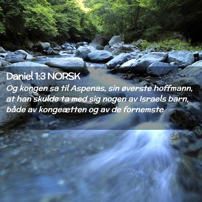 Picture 02 - Daniel 1:3 NORSK - Og kongen sa til Aspenas, sin øverste hoffmann, - Bible Verse Picture