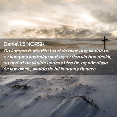 Picture 02 - Daniel 1:5 NORSK - Og kongen fastsatte hvad de hver dag skulde ha av - Bible Verse Picture