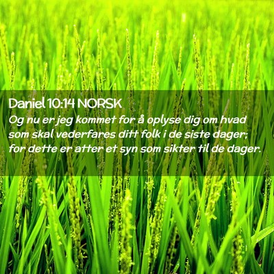 Picture 02 - Daniel 10:14 NORSK - Og nu er jeg kommet for å oplyse dig om hvad som - Bible Verse Picture