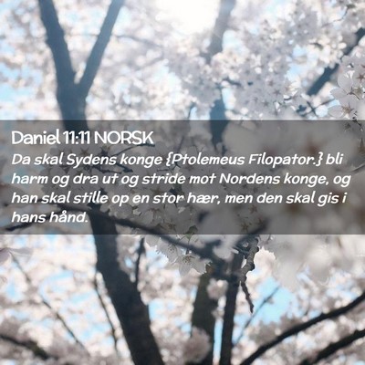 Picture 02 - Daniel 11:11 NORSK - Da skal Sydens konge {Ptolemeus Filopator.} bli - Bible Verse Picture