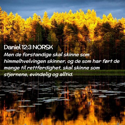 Picture 02 - Daniel 12:3 NORSK - Men de forstandige skal skinne som - Bible Verse Picture