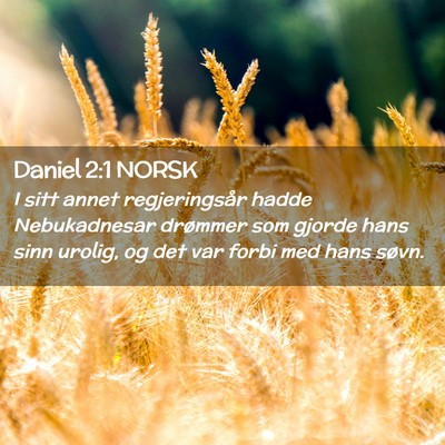 Picture 02 - Daniel 2:1 NORSK - I sitt annet regjeringsår hadde Nebukadnesar - Bible Verse Picture