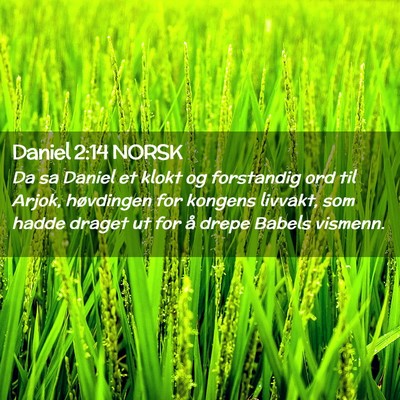 Picture 02 - Daniel 2:14 NORSK - Da sa Daniel et klokt og forstandig ord til - Bible Verse Picture