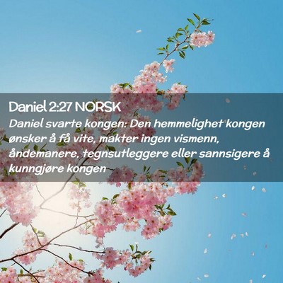 Picture 02 - Daniel 2:27 NORSK - Daniel svarte kongen: Den hemmelighet kongen - Bible Verse Picture