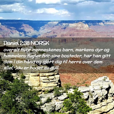 Picture 02 - Daniel 2:38 NORSK - overalt hvor menneskenes barn, markens dyr og - Bible Verse Picture