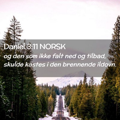 Picture 02 - Daniel 3:11 NORSK - og den som ikke falt ned og tilbad, skulde kastes - Bible Verse Picture