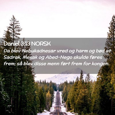 Picture 02 - Daniel 3:13 NORSK - Da blev Nebukadnesar vred og harm og bød at - Bible Verse Picture
