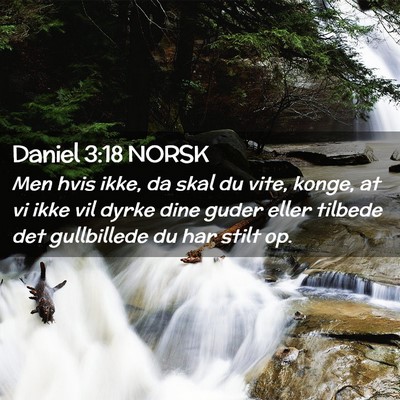 Picture 02 - Daniel 3:18 NORSK - Men hvis ikke, da skal du vite, konge, at vi ikke - Bible Verse Picture