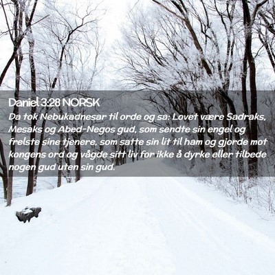 Picture 02 - Daniel 3:28 NORSK - Da tok Nebukadnesar til orde og sa: Lovet være - Bible Verse Picture