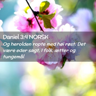 Picture 02 - Daniel 3:4 NORSK - Og herolden ropte med høi røst: Det være eder - Bible Verse Picture