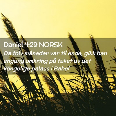 Picture 02 - Daniel 4:29 NORSK - Da tolv måneder var til ende, gikk han engang - Bible Verse Picture