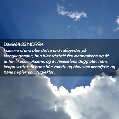 Picture 02 - Daniel 4:33 NORSK - I samme stund blev dette ord fullbyrdet på - Bible Verse Picture