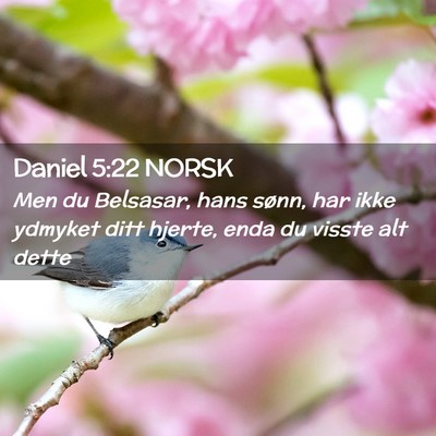 Picture 02 - Daniel 5:22 NORSK - Men du Belsasar, hans sønn, har ikke ydmyket - Bible Verse Picture