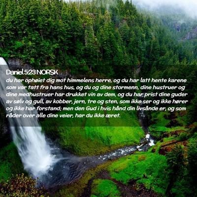 Picture 02 - Daniel 5:23 NORSK - du har ophøiet dig mot himmelens herre, og du - Bible Verse Picture