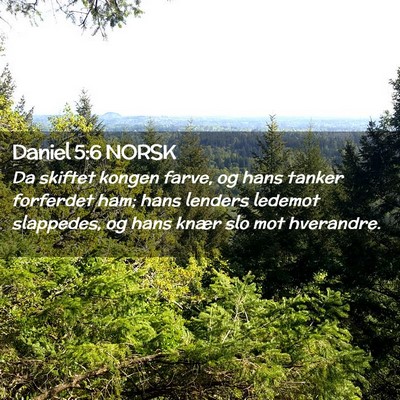 Picture 02 - Daniel 5:6 NORSK - Da skiftet kongen farve, og hans tanker forferdet - Bible Verse Picture