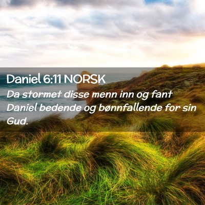 Picture 02 - Daniel 6:11 NORSK - Da stormet disse menn inn og fant Daniel bedende - Bible Verse Picture